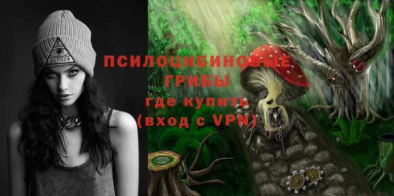 Галлюциногенные грибы Psilocybe Камбарка